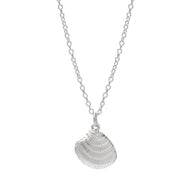 Dream Shell Necklace - EVRYJEWELS