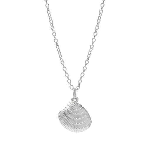 Dream Shell Necklace - EVRYJEWELS