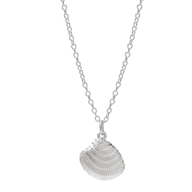 Dream Shell Necklace - EVRYJEWELS