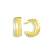 Main Attraction Earrings - EVRYJEWELS