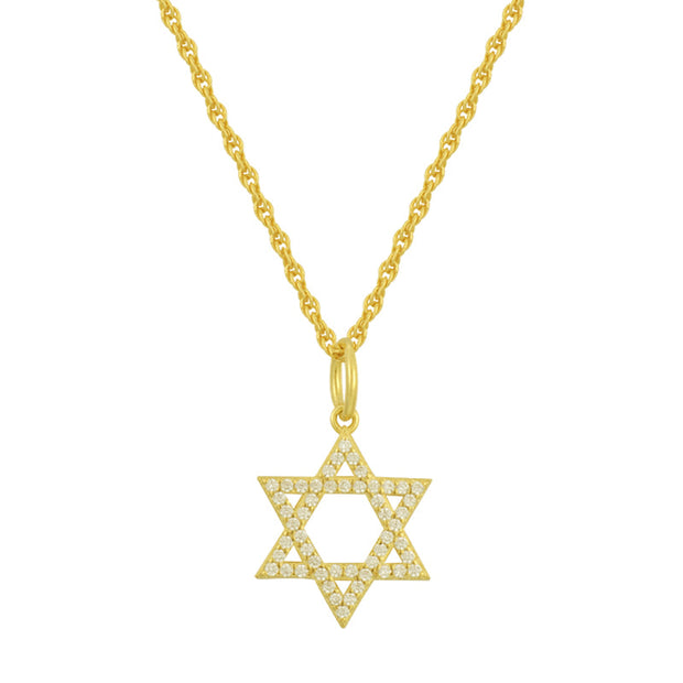 Star of David Necklace - EVRYJEWELS