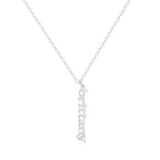 Custom/Personalized Mini Vertical Charm Nameplate Necklace - EVRYJEWELS