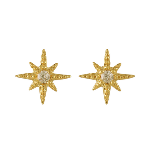 Radiant Star Earrings - EVRYJEWELS